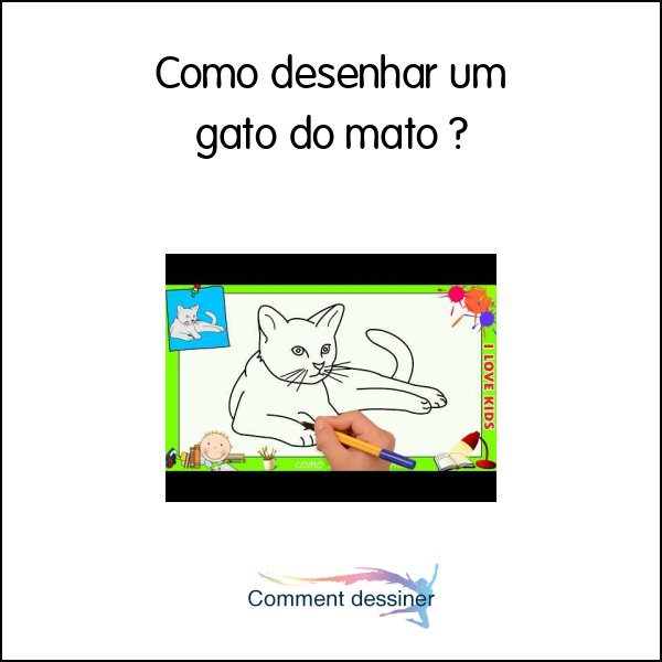 Como desenhar um gato do mato